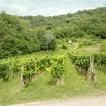 Agroturismo Turisticna Kmetija Stanfel Podsabotin