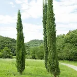 Turisticna Kmetija Stanfel Agroturismo