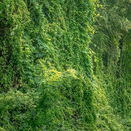 Agroturismo Turisticna Kmetija Stanfel Podsabotin