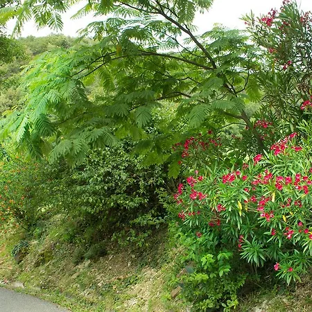 Turisticna Kmetija Stanfel בית חווה Podsabotin