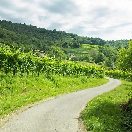 Turisticna Kmetija Stanfel Podsabotin