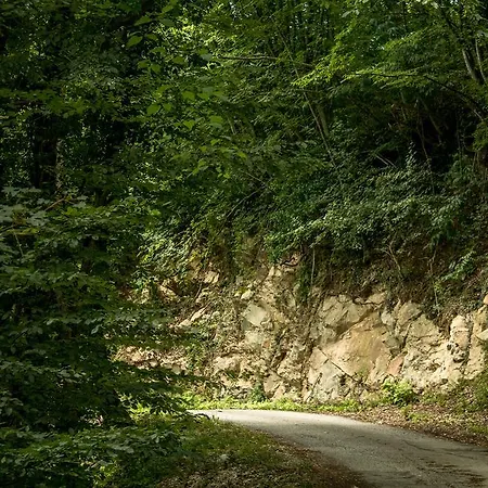 Turisticna Kmetija Stanfel