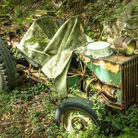Farm stay Turisticna Kmetija Stanfel Podsabotin