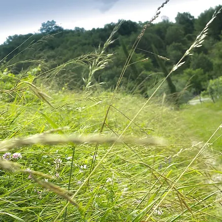 Turisticna Kmetija Stanfel * Podsabotin