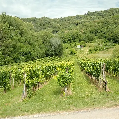 Farm stay Turisticna Kmetija Stanfel Podsabotin