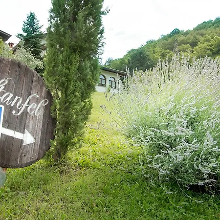 Turisticna Kmetija Stanfel *