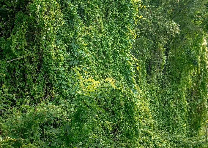 Vakantieboerderij Turisticna Kmetija Stanfel Podsabotin
