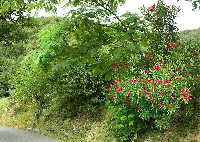 Turisticna Kmetija Stanfel Farm stay Podsabotin