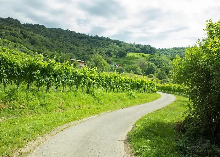 Turisticna Kmetija Stanfel Podsabotin