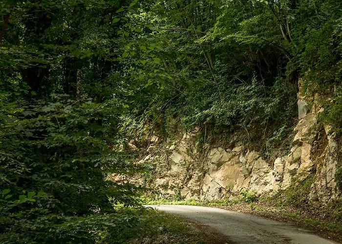 Turisticna Kmetija Stanfel