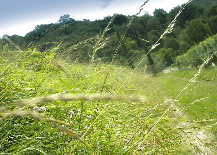 Turisticna Kmetija Stanfel * Podsabotin