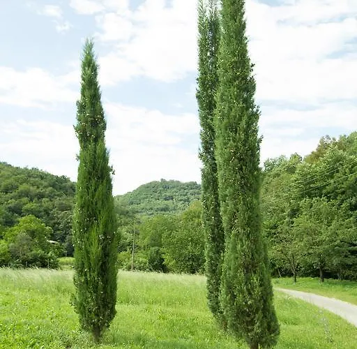 Turisticna Kmetija Stanfel Vakantieboerderij